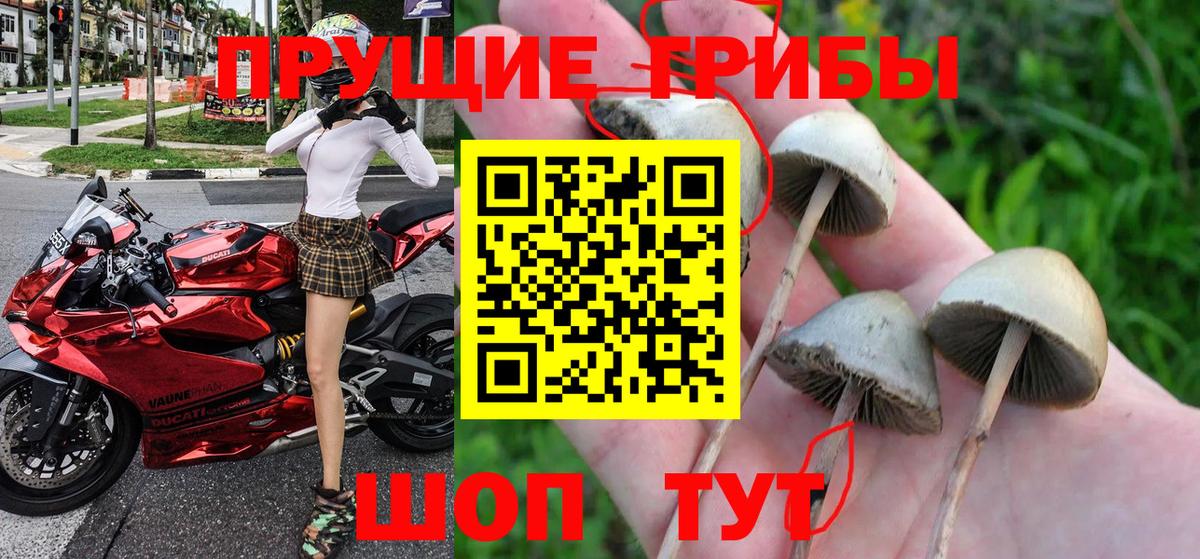 Галлюциногенные грибы GOLDEN TEACHER Горячий Ключ